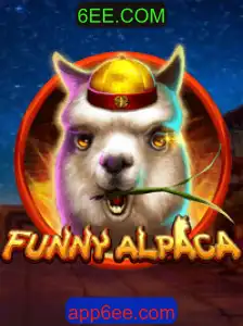 Explorando o Universo Divertido de FunnyAlpaca
